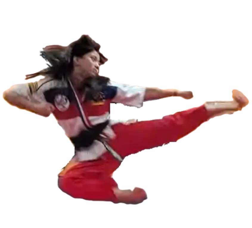 A person in red and white is doing a kick